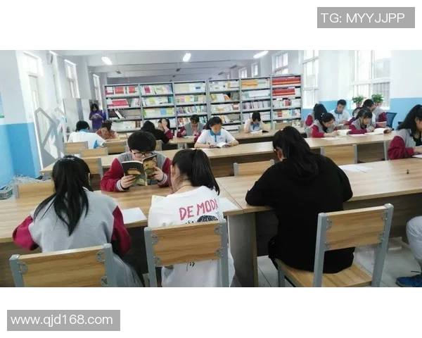 杨强的排球人生：从赛场到心灵的对话与反思